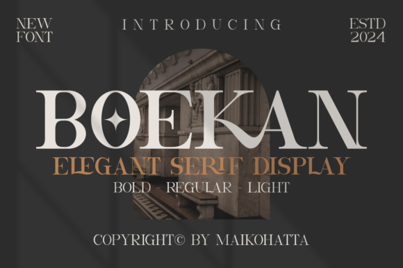 Boekan Serif Font for Digital Marketing