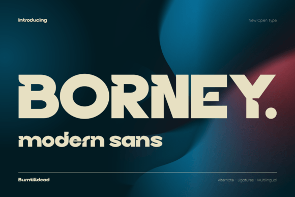 Borney Sans Serif Font for Professional Branding