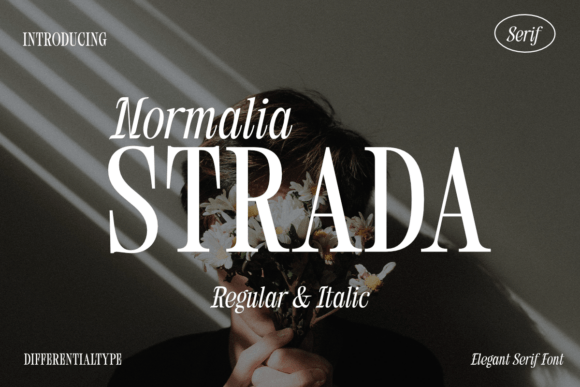 Normalia Strada: A Font That Elevates Your Brand