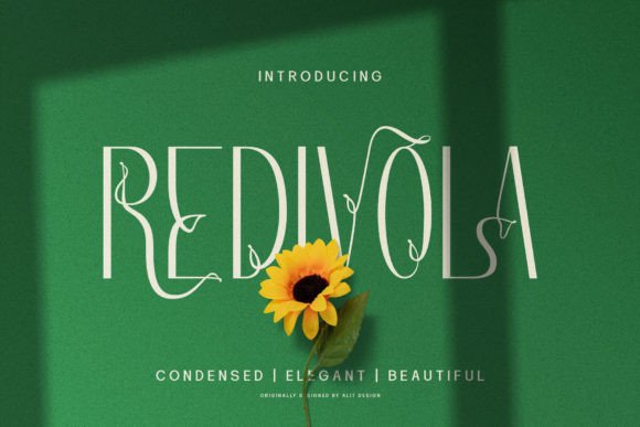 Redivola: A Typeface That Elevates Your Campaigns