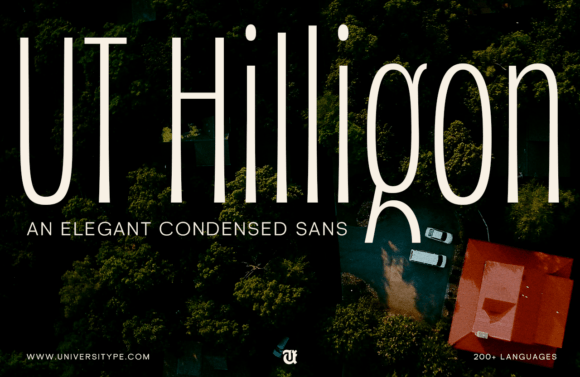 Ut Hilligon